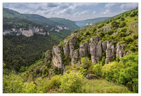Causse Méjean