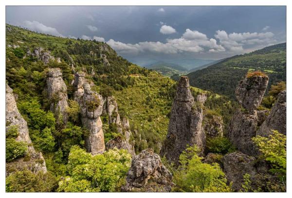 Causse Méjean