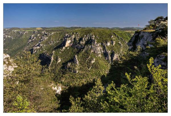 Causse Méjean
