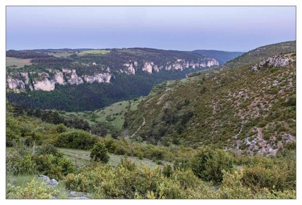 Causse Méjean