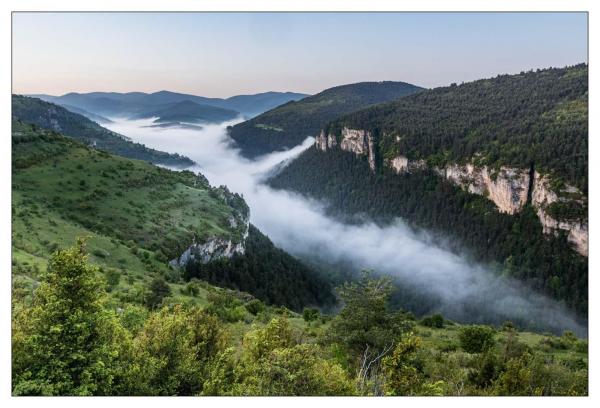 Causse Méjean