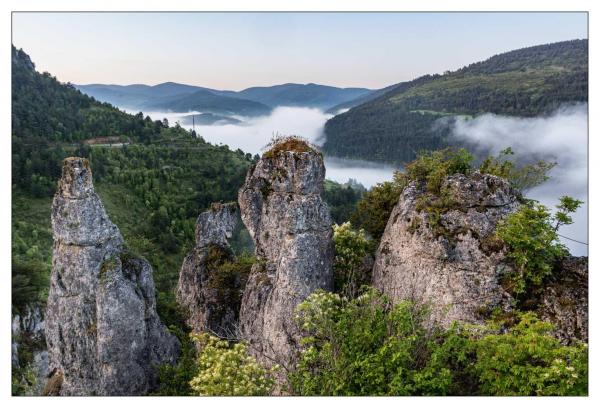 Causse Méjean