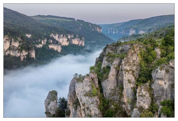 Causse Méjean