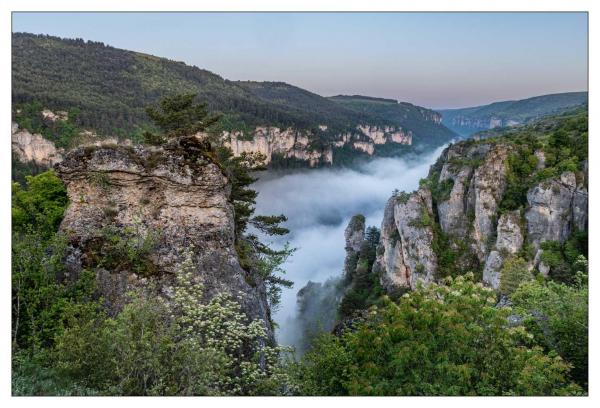 Causse Méjean