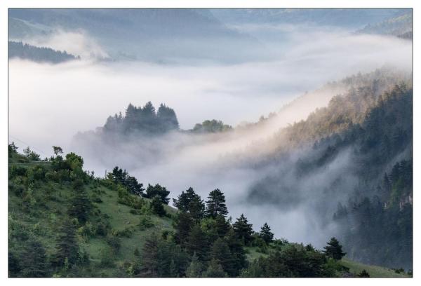 Causse Méjean