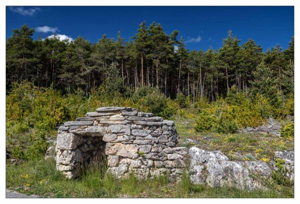 Causse Méjean