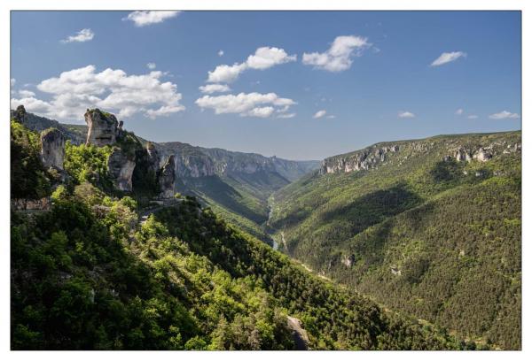Causse Méjean