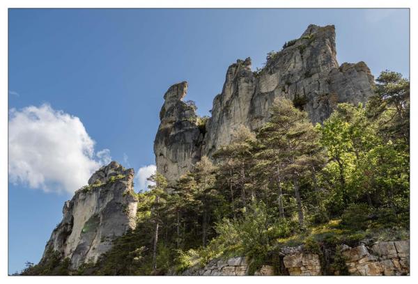 Causse Méjean