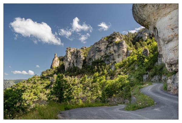 Causse Méjean
