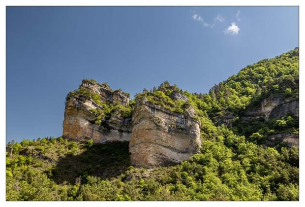 Causse Méjean