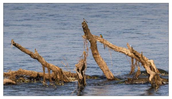 Bords de Loire