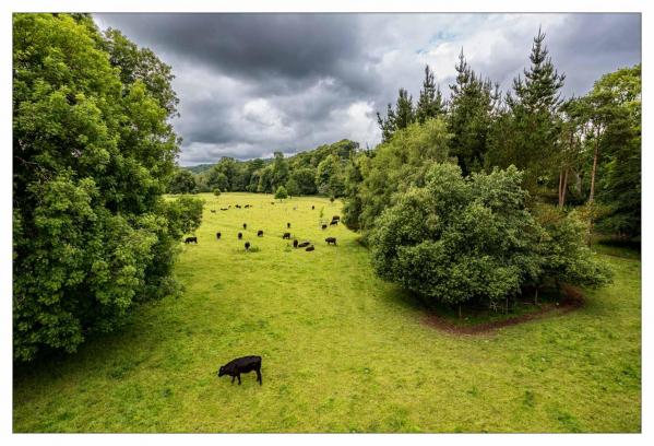 Irlande