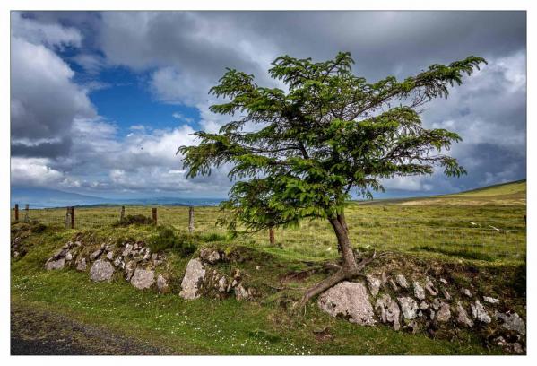 Irlande
