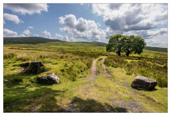 Irlande