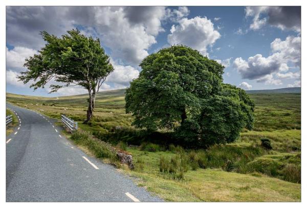 Irlande