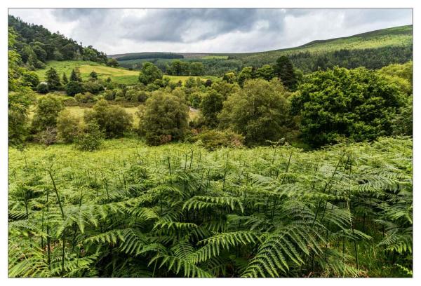 Glendalough