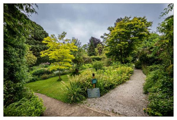 Mount Usher Gardens