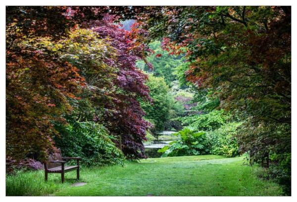 Mount Usher Gardens