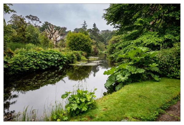 Mount Usher Gardens