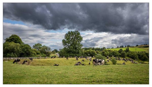Irlande