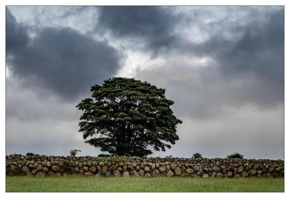 Irlande