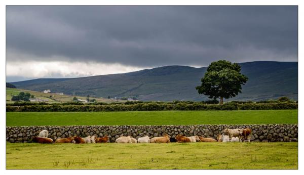 Irlande