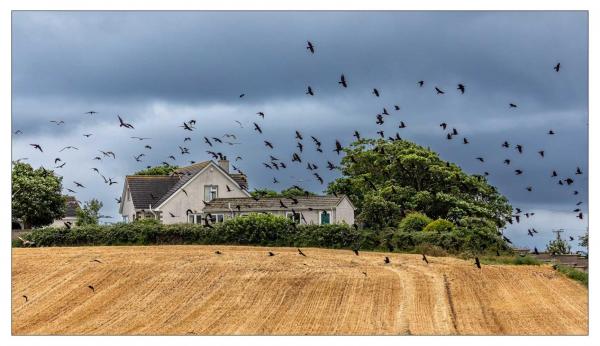 Irlande