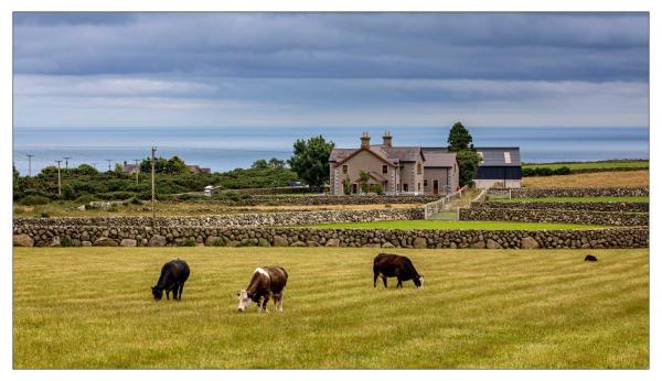 Irlande