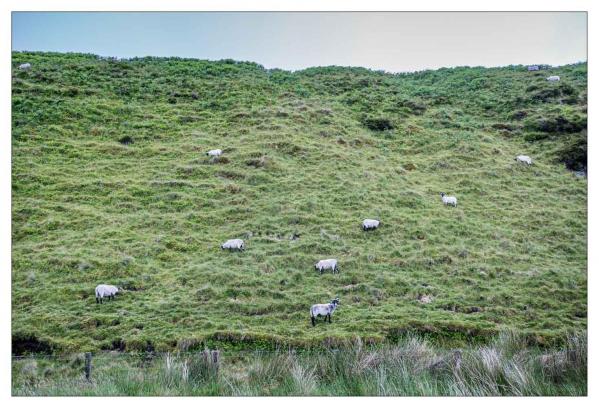 Irlande
