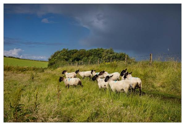 Irlande
