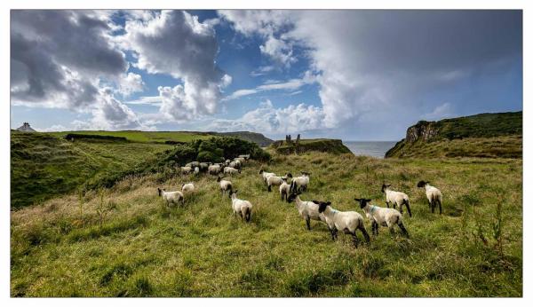 Irlande