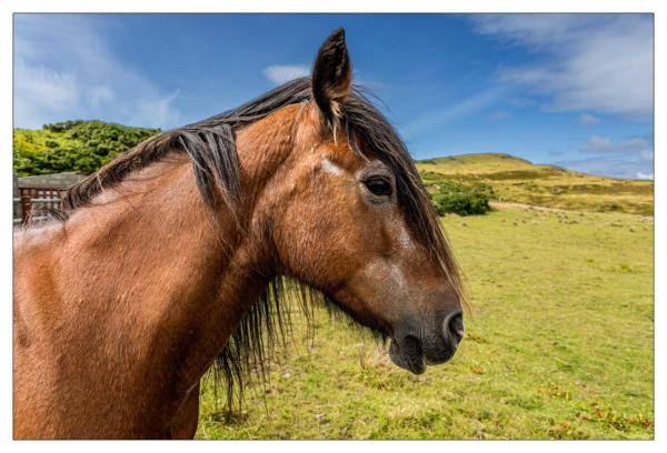 Irlande