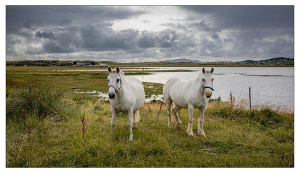 Irlande