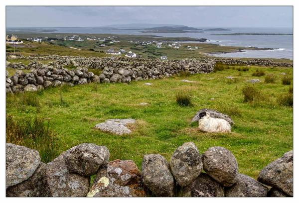 Irlande