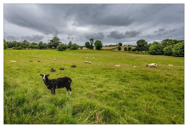 Irlande