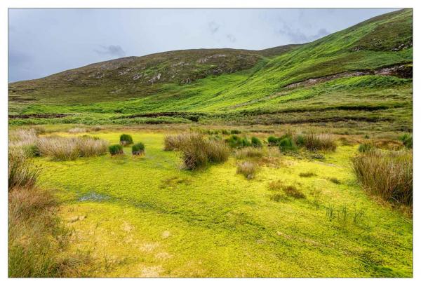 Irlande