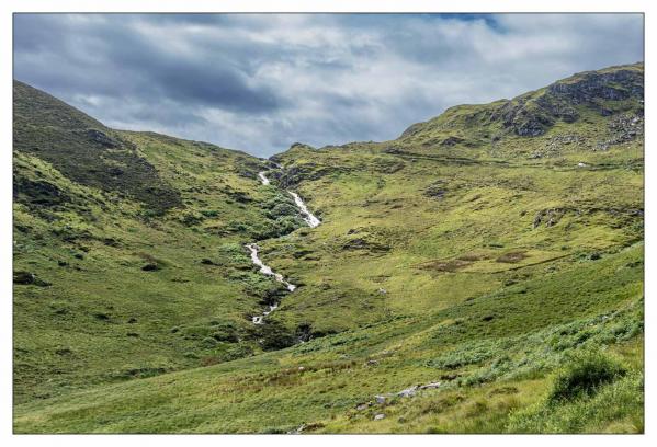 Donegal