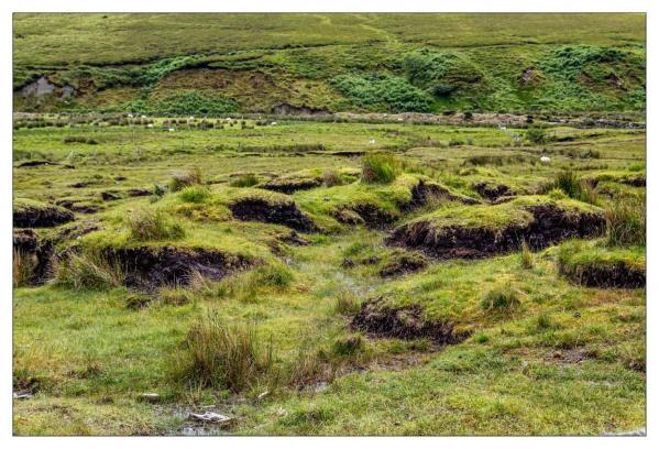 Donegal