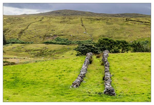 Donegal