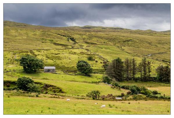 Donegal