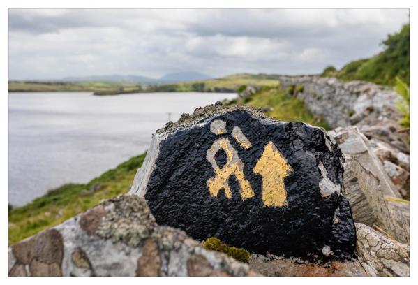 Donegal