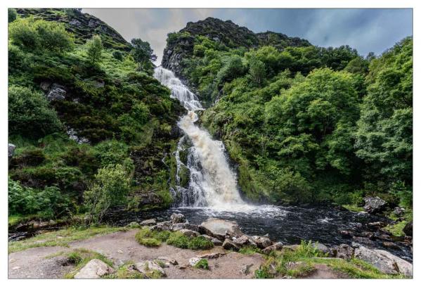 Donegal