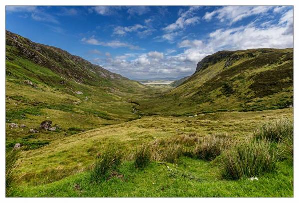 Donegal