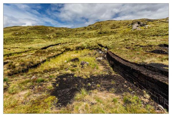 Donegal
