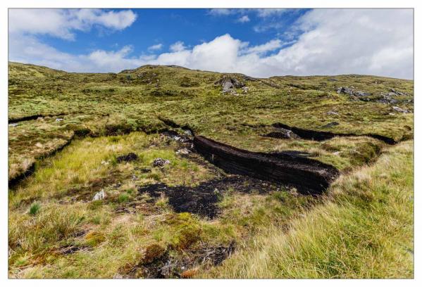 Donegal