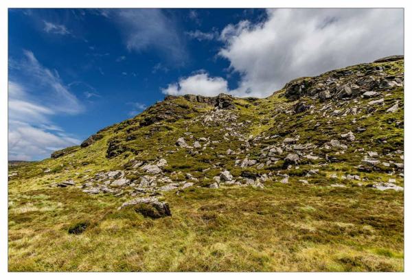 Donegal