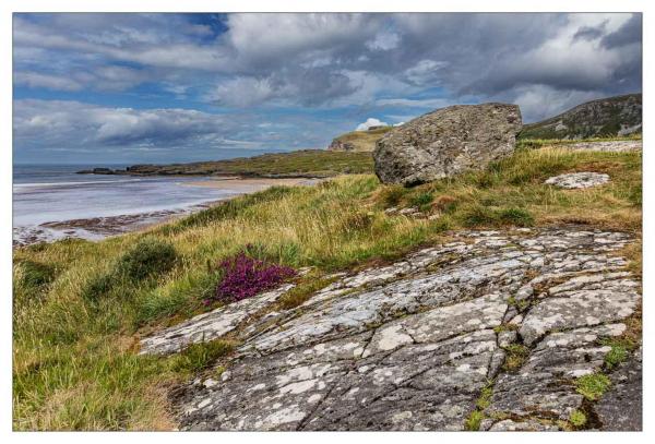 Donegal