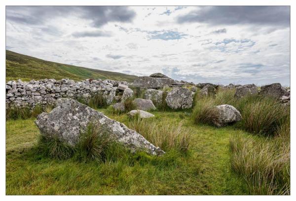 Donegal