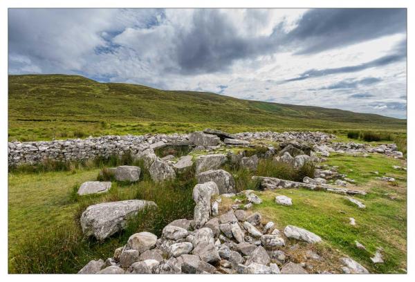Donegal