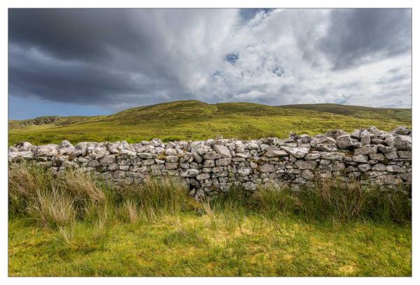 Donegal